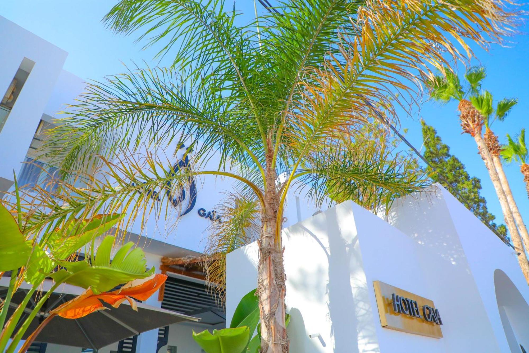 نزل قايا Hotel Gaia Nabeul Luaran gambar